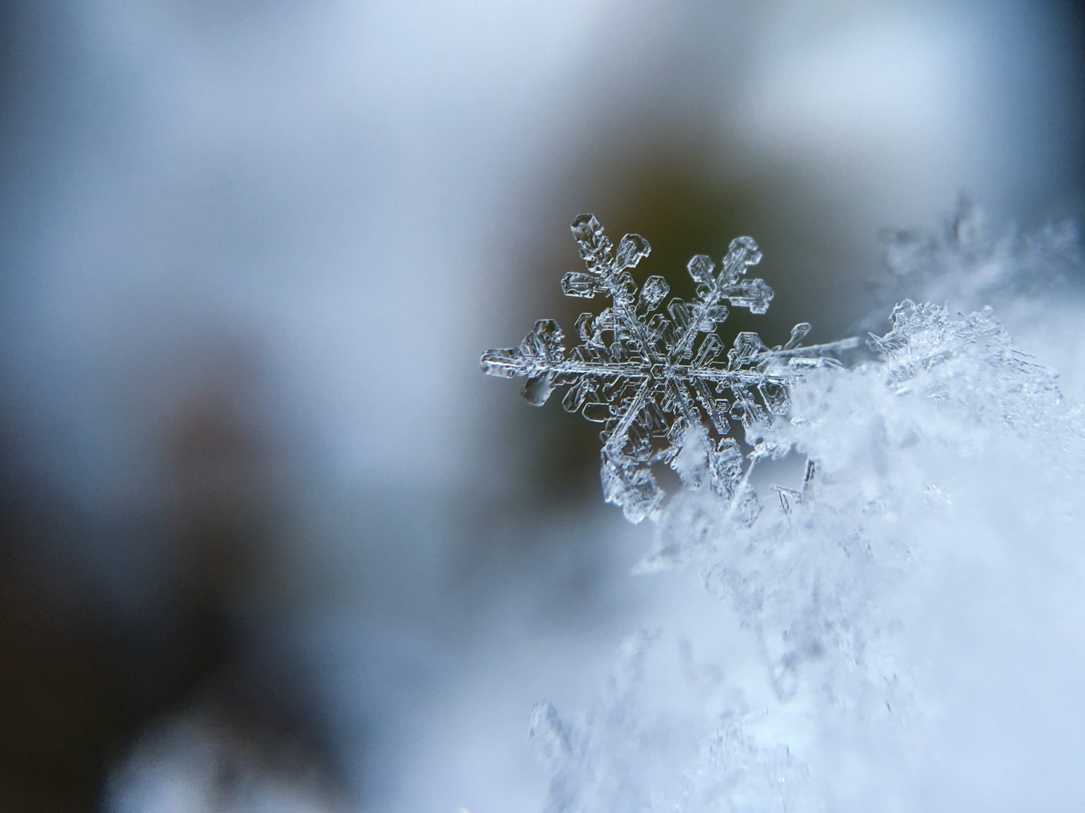 ぼたん雪のような絞り小紋☆蛍絞り 着物・浴衣