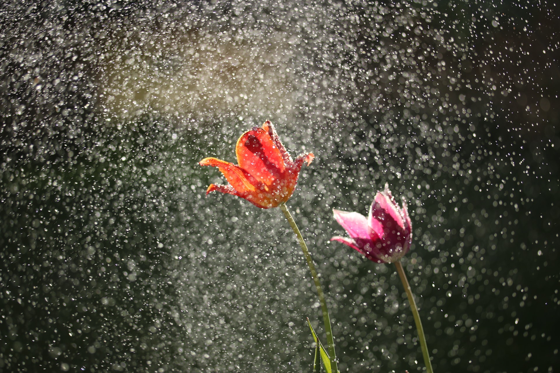 発火雨 はどんな雨 由来や類語も解説 人生は雨のち晴れ